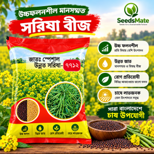 Hybrid Mustard Seeds 7712 – High Yielding Variety 1KG হাইব্রিড সরিষা বীজ ৭৭১২ (Mustard Seeds 7712) | SeedsMate