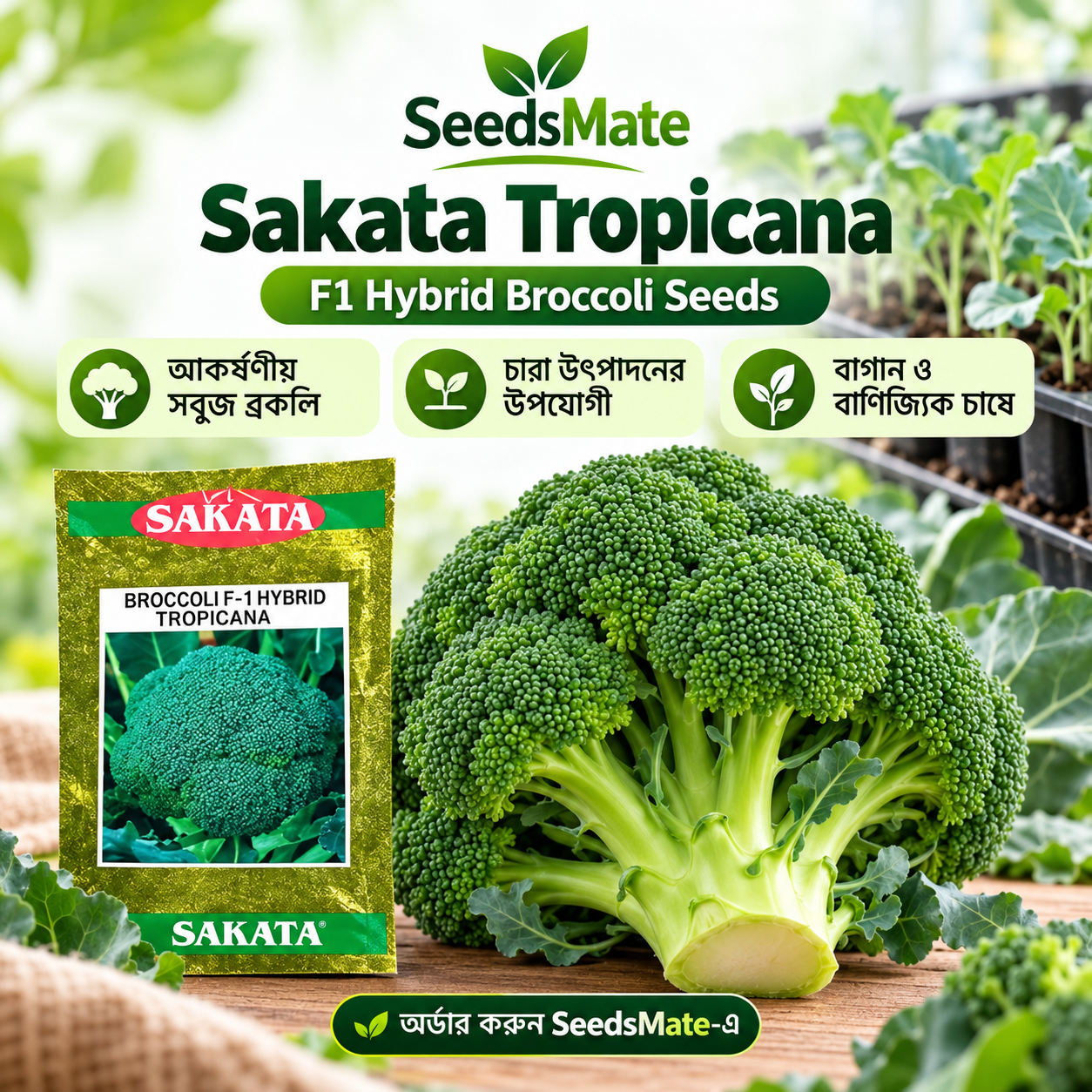 Sakata Tropicana F1 Hybrid Broccoli Seeds 10 Gm| সাকাটা ট্রপিকানা হাইব্রিড ব্রকলি বীজ