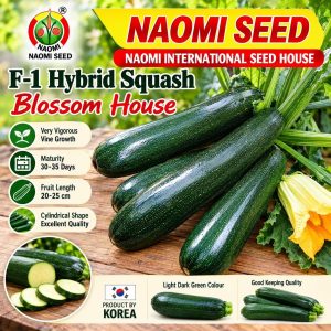 Naomi F1 Hybrid Squash Blossom House Seeds