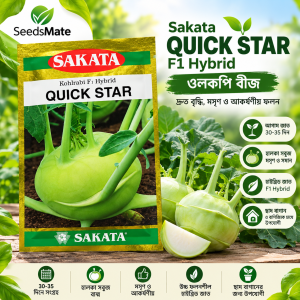 Quick Star Kohlrabi