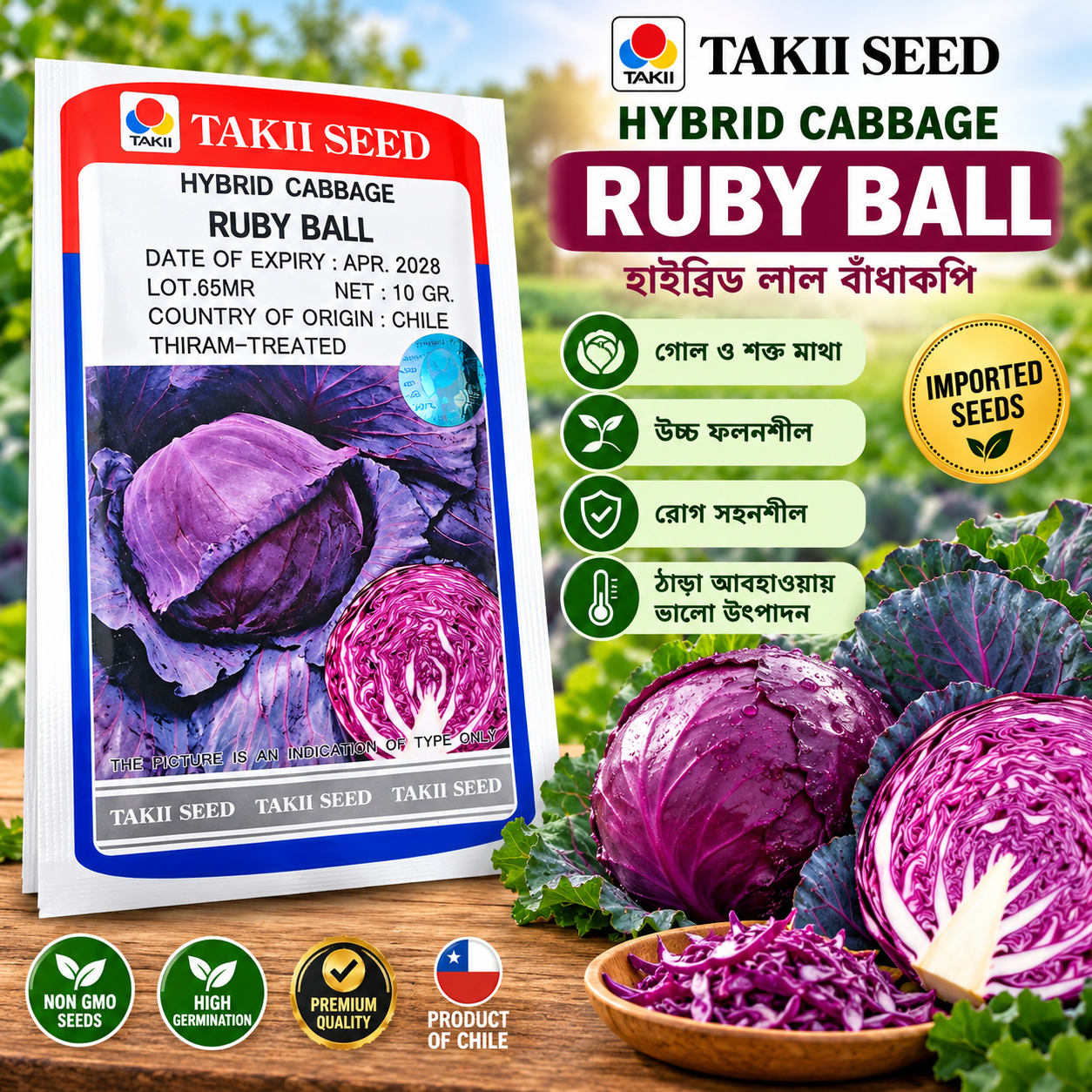 Alt text: TAKII Ruby Ball Hybrid Red Cabbage Seeds 10g packet with red purple cabbage