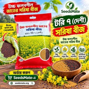 টরি ৭ দেশি সরিষা বীজ ৫ কেজি প্যাকেট – SeedsMate