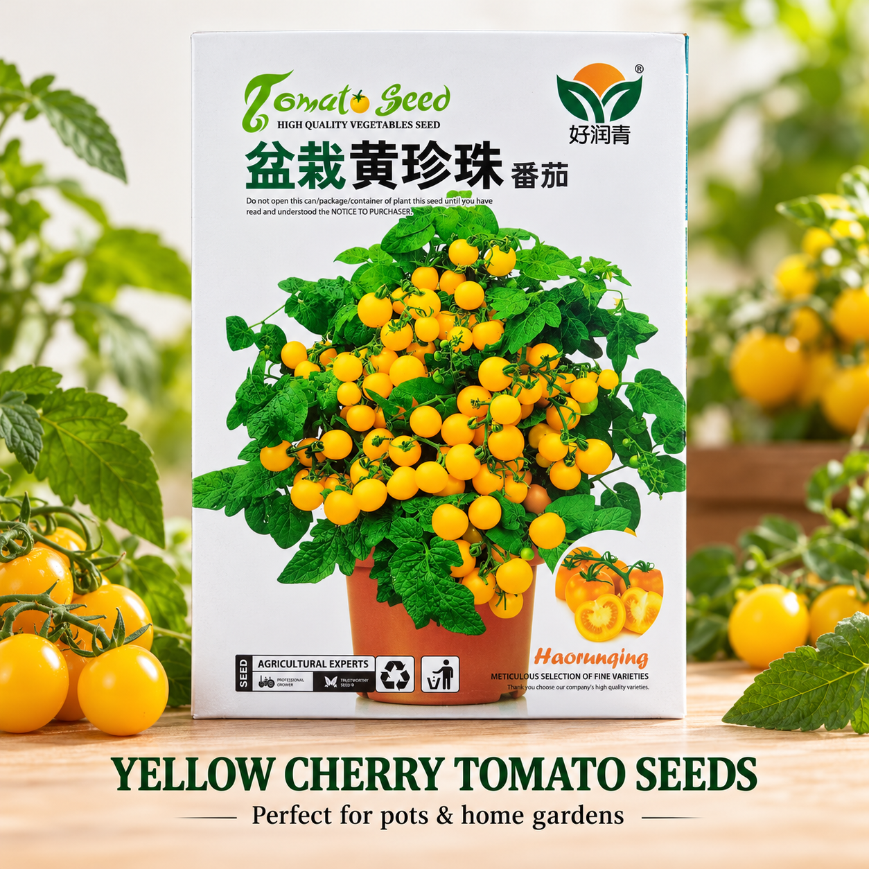 Yellow Cherry Tomato Seeds for Rooftop & Pot Gardening
