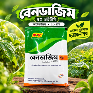 Bendazim 50 WP 50g fungicide by National AgriCare